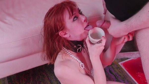 Jizz Drinking Bdsm Sex Slave Anally Shagged - hclips.com on v0d.com
