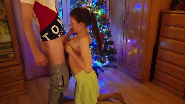 Holiday Blowjob Under The Christmas Tree - hclips.com on v0d.com