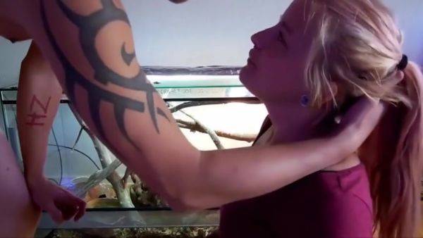 Perfect Girl - videomanysex.com on v0d.com