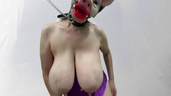 Masked Pig Slut Sucks Dildos And Boob Bouncing - hotmovs.com on v0d.com