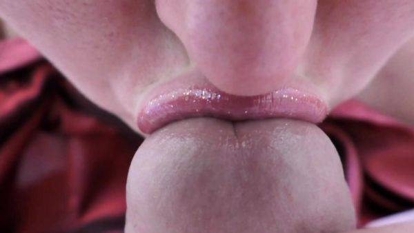 My wife gives a great closeup blowjob - drtuber.com on v0d.com