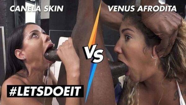 Canela Skin vs Venus Afrodita: Latina Anal Showdown with BBC and Big Tits - veryfreeporn.com on v0d.com