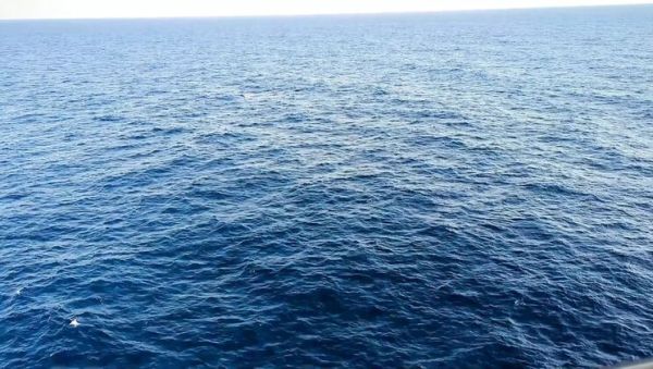 Amateur Hot Wife Solo Masturbation Orgasm on Cruise Ship - Cuckold Husband Locked in Chastity Cage Watches - xxxfiles.com - Usa on v0d.com