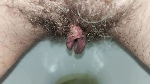Hairy Housewife GinnaGg Pissing Close Up Toilet Pee Play - veryfreeporn.com - Russia on v0d.com