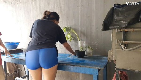 Homemade Latina Maid Blowjob and Creampie - Cheating Housewife Fuck in POV - xxxfiles.com - Spain - Bolivia on v0d.com