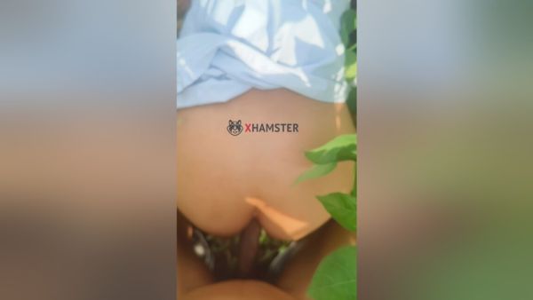 Village Bhabhi And Village Outdoor - Outdoor Sex - desi-porntube.com - India on v0d.com
