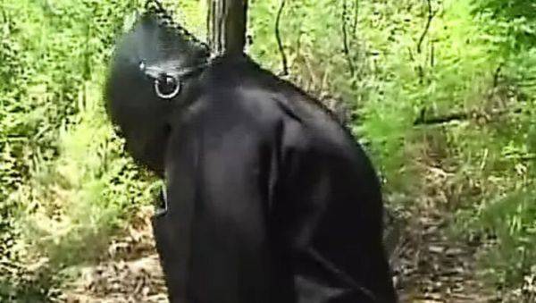 Platinum Blonde German MILF Takes Hardcore Anal in the Woods - porntry.com - Germany on v0d.com