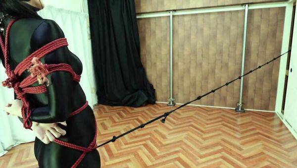 Japanese MILF in Twin Tails Tied Up & Dominated - Rough BDSM Shibari Fuck - xxxfiles.com - Japan on v0d.com