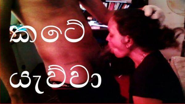 Hot Sri Lankan Stepsis Tina Baby Gets Her Protein Shake Before Class - Anal & BBC Action - porntry.com - Sri Lanka on v0d.com