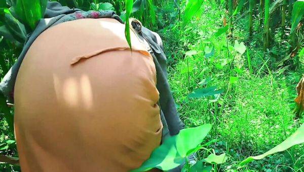 Deshi Bhabhi Fucked Hard in Cornfield - First Time Anal & Doggy Style - porntry.com - India on v0d.com