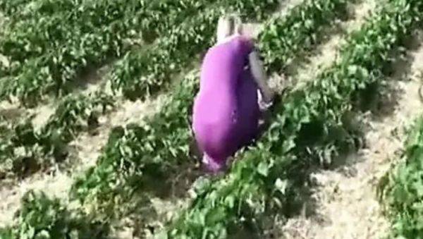Blonde German Babe Sucks Cock After Strawberry Picking - Outdoor POV Fuck - xxxfiles.com - Germany on v0d.com