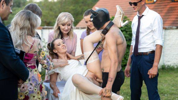 Releasing Wedding Hound - Vip4k - txxx.com - Czech Republic on v0d.com