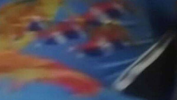 Hot ebony amateur rides big black cock - homemade sex - xxxfiles.com on v0d.com