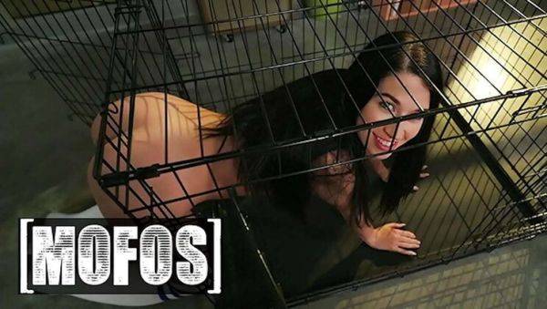 Petite Tattooed Babe Alex Coal Deep Throats JMac's Cock - Mofos Birthday Present - xxxfiles.com on v0d.com