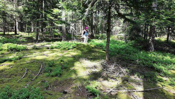 Wild French lesbians make out & eat pussy in the forest - Alt girls outdoor sex - porntry.com - France on v0d.com