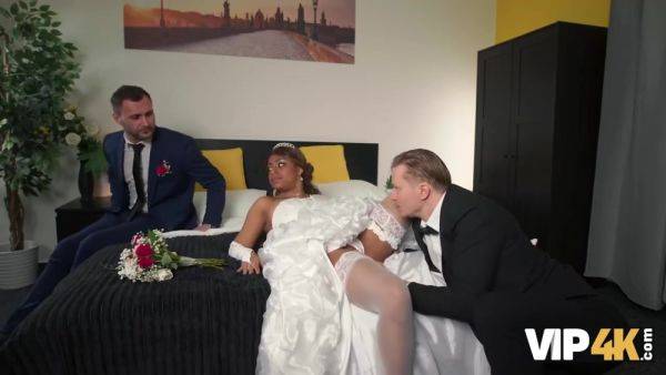 Fantastic Stanley Johnson - Wedding Fun Clip - Vip - videomanysex.com - Brazil on v0d.com