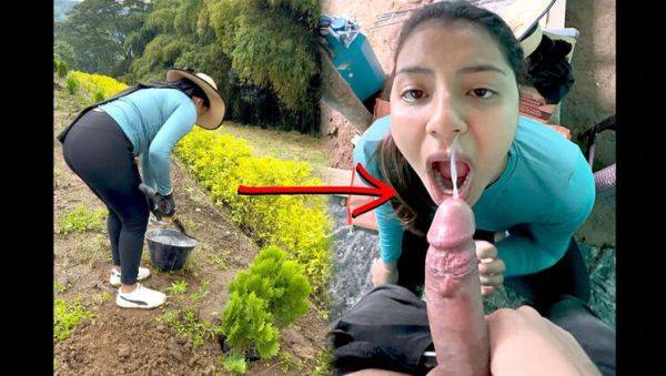 Young Farmer Woman Paid To Milk My Cock - Amateur Blowjob & Cumshot In Mouth - porntry.com - India - Colombia on v0d.com