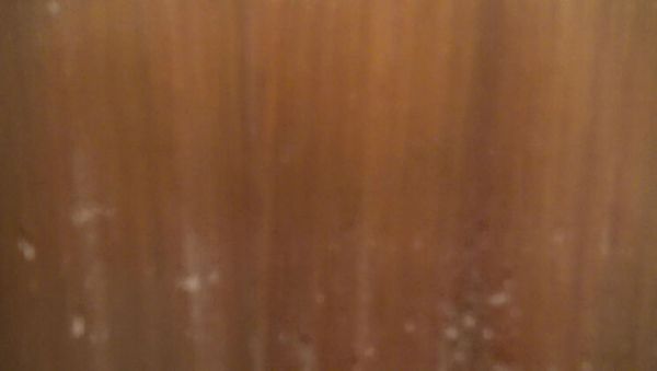 Souzan Halabi First Time Blowjob in Kitchen - Amateur Arab Teen Hijab Girl Dirty Talk Close Up 4K - xxxfiles.com - Britain - Turkey on v0d.com