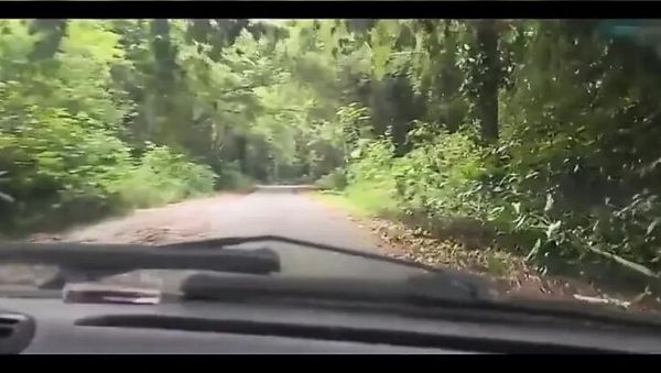 Bruxo Fire Bangs Latina in Forest Milk Bath - Outdoor Doggy Style & Blowjob - xxxfiles.com on v0d.com