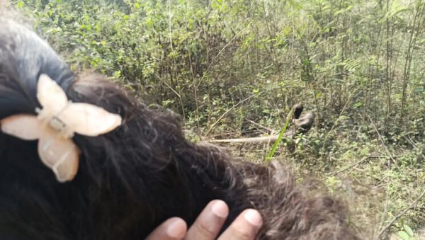 Step Brother Fucks Hot Indian Maid Laxi Ammu in Jungle Fantasy 4K - veryfreeporn.com - India on v0d.com