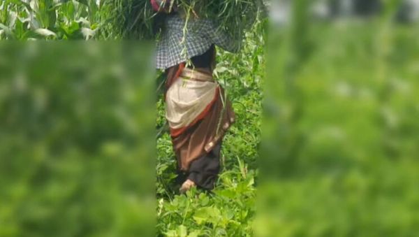 Desi Bhabhi Outdoor Fuck with Devar in Jungle - Sukunmi & Dewaif Public Sex - veryfreeporn.com - India on v0d.com