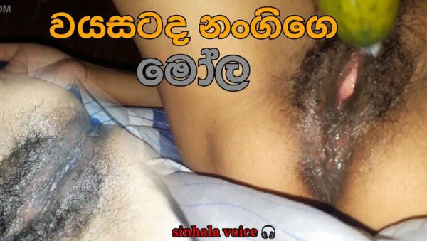 Desi Teen Girl Solo Masturbation - Huge Joy Squirting Creampie - Sri Lankan - veryfreeporn.com - India - Japan - Sri Lanka on v0d.com